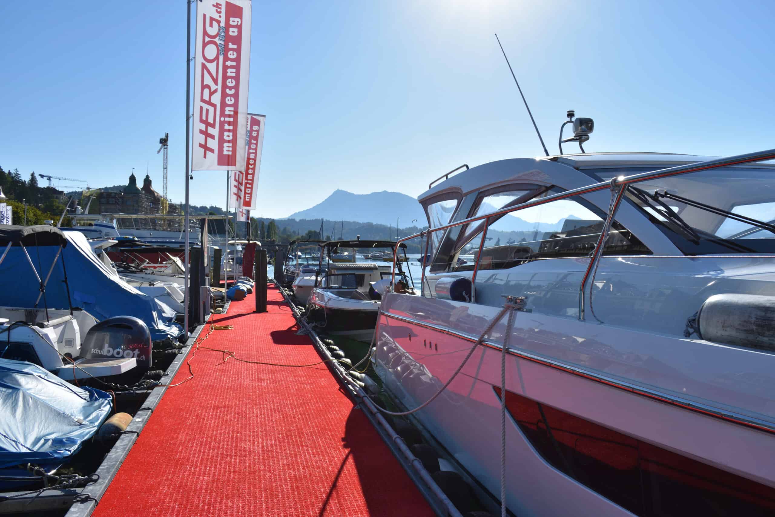 DSC_0006_00006-scaled